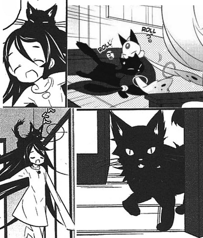 File:MisakiResidenceCat.png