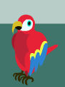Red parrot