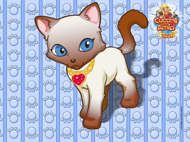 File:Ccac-wallpaper-05-1280x960.jpg