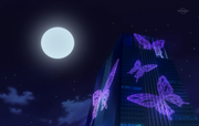 Symphonia COmpany