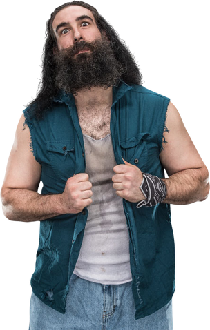 File:Luke Harper.png