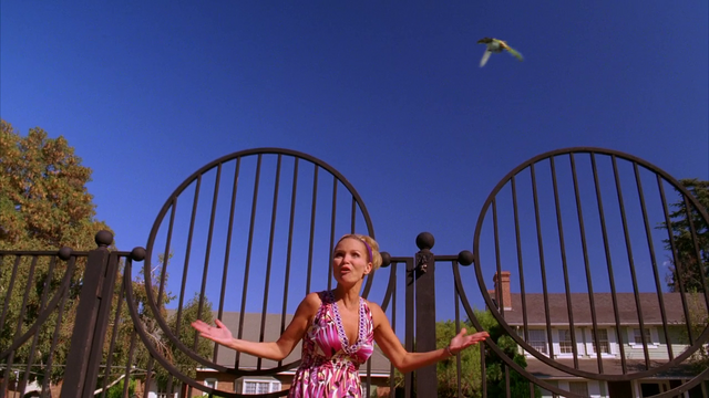 File:Pigeon 345.png