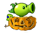 PeaShooter