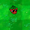 Jazzberry