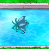Water lily