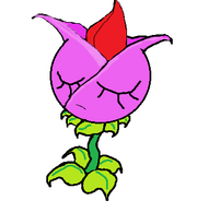 Tulip2