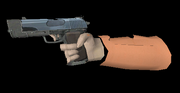 Pistol