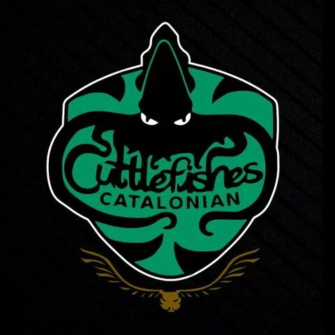 Archivo:Catalonian Cuttlefishes.jpeg