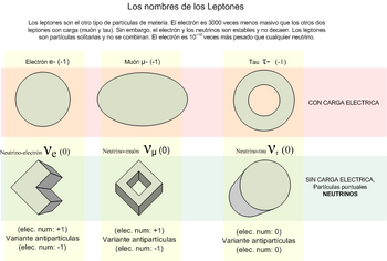 Leptones.png