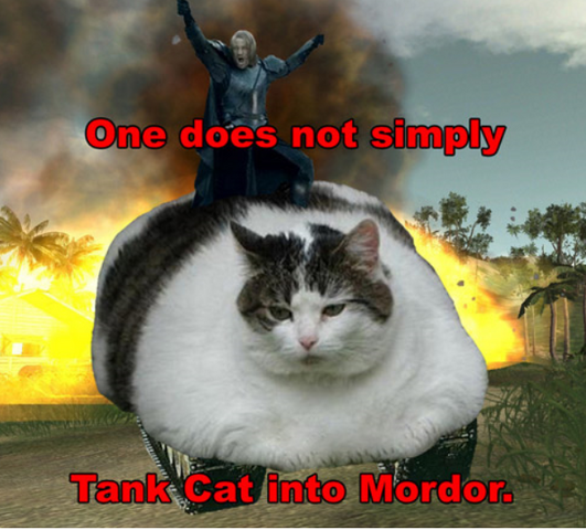 File:Cat tank.png