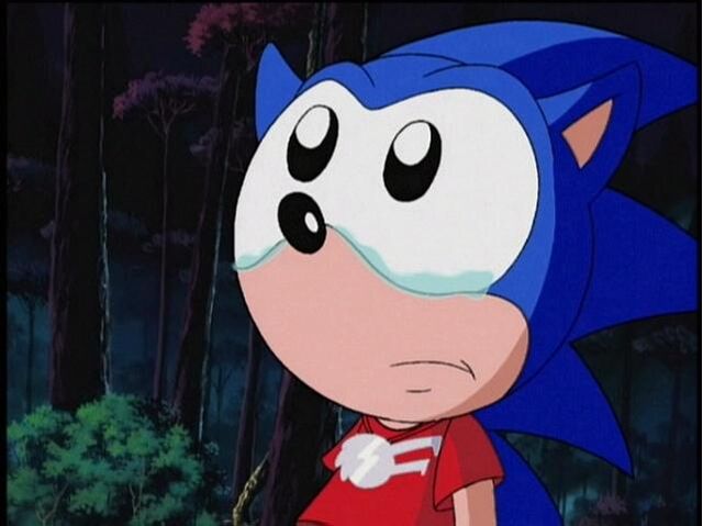 File:Dont cry sonic.jpg