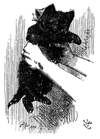 File:Kitty.jpg
