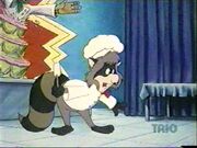 George raccoon