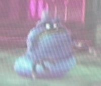 Blue Ameboid