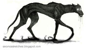 Darkhound4