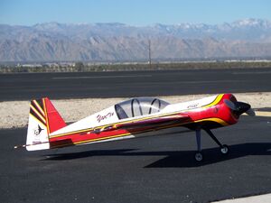 Yak at field