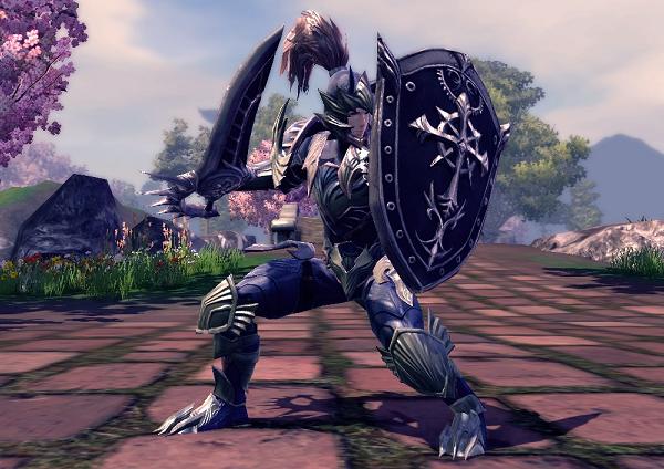 File:RaiderZ Defender.jpg