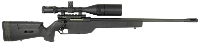 File:Ssg3000.png