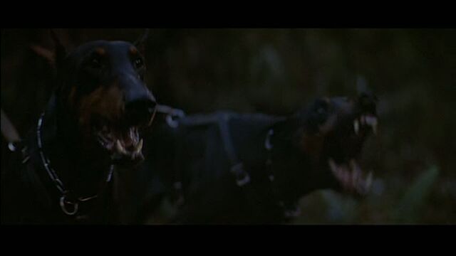 File:Rambo-00040.jpg