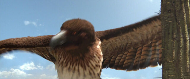 File:Rango-disneyscreencaps com-1463.jpg