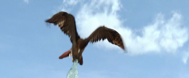 File:Rango-disneyscreencaps com-1498.jpg