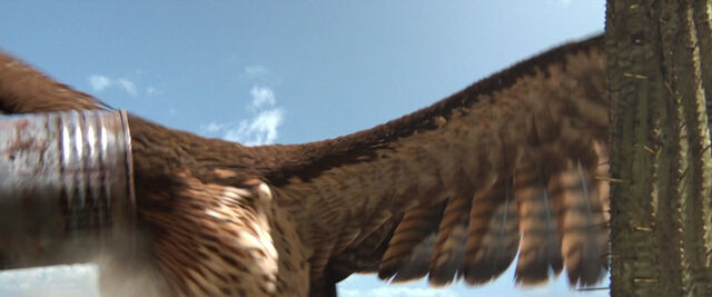 File:Rango-disneyscreencaps com-1461.jpg