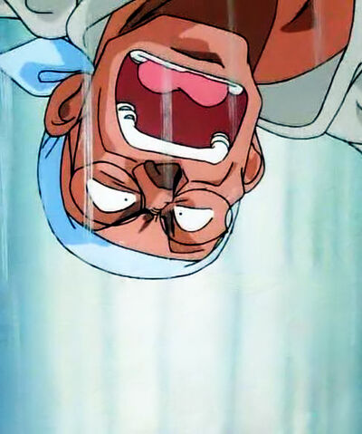 File:S06-17-Genma Falling.jpg