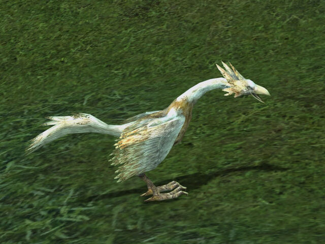 File:Nimble Little Rooster.jpg