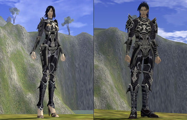 File:Demonhide Armor.jpg