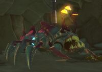 Cratéropode