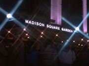 Msg