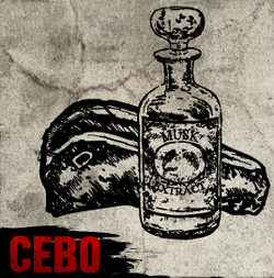 Cebo RDR.png