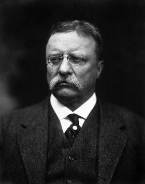 Theodore Roosevelt