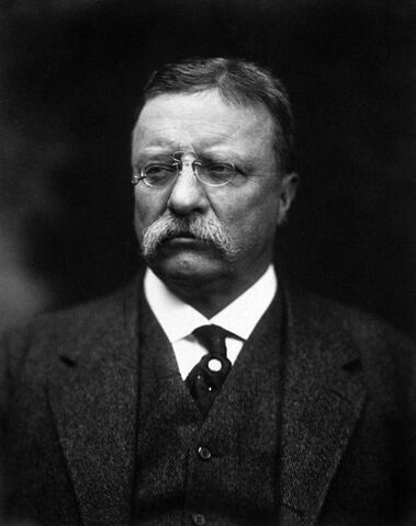 File:Theodore Roosevelt.jpg