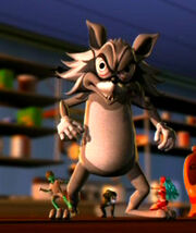 Rockyraccoon2