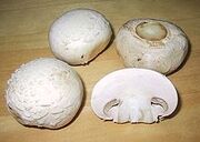220px-ChampignonMushroom