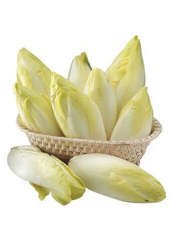 File:BelgianEndive.jpg