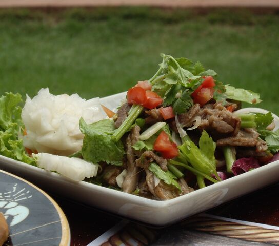 File:Thai Beef Salad 11.jpg