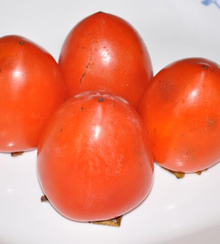 File:Ripe Hachiya Persimmons 5.jpg