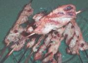 Indonesian Pork