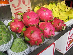 Dragon fruit