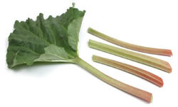 Rhubarb