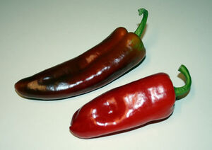 New Mexico red chile