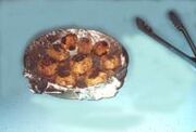 MoroccanMeatballs