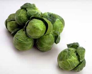 BrusselsSprouts