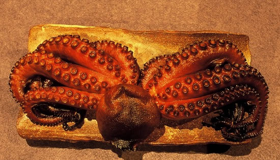File:Tako.jpg