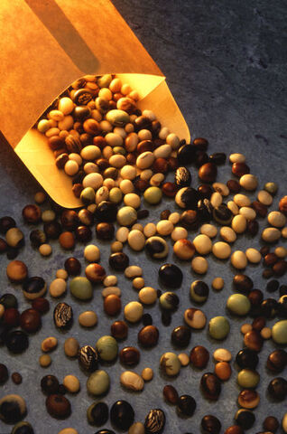 File:397px-Soybeanvarieties.jpg