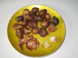 Breadnuts