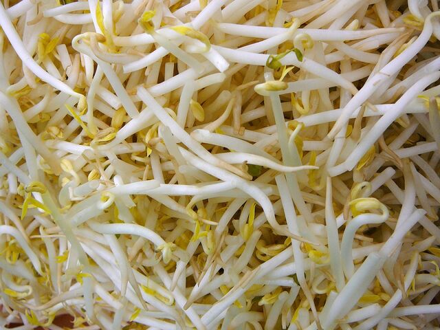 File:Bean sprouts.jpg