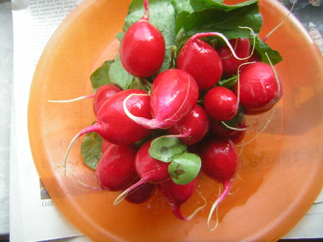 File:DSCN3996.jpg